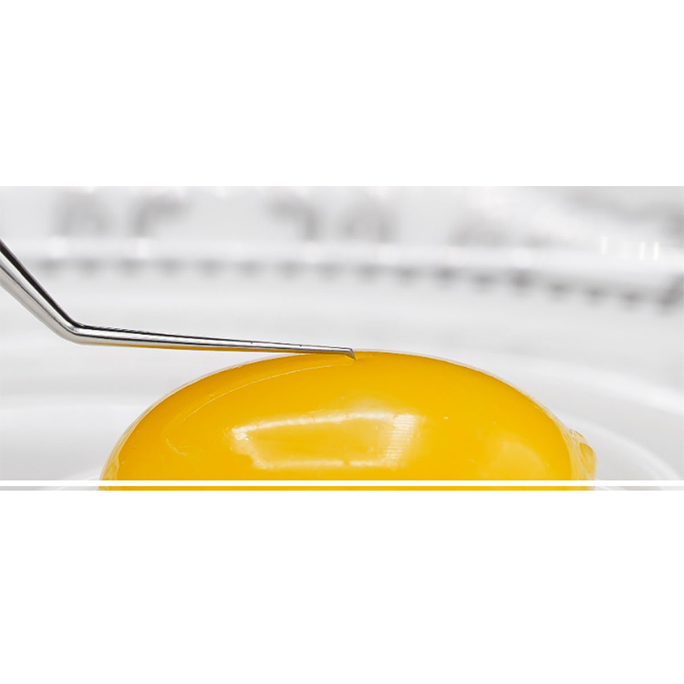 IF-3002S 1,8 Пинцет для микротканей из нержавеющей стали Utrata Capsulorhexis Forcep